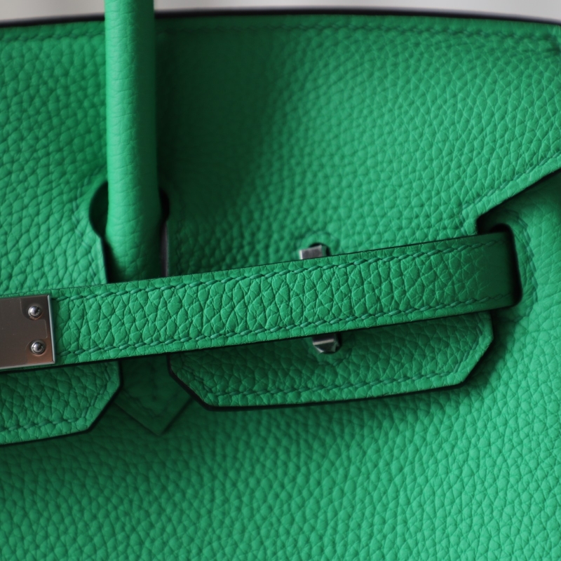 0Z Vert Comics Togo Birkin 25cm with phw