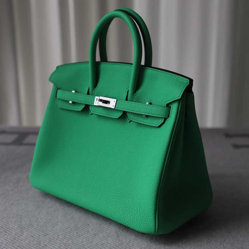 0Z Vert Comics Togo Birkin 25cm with phw
