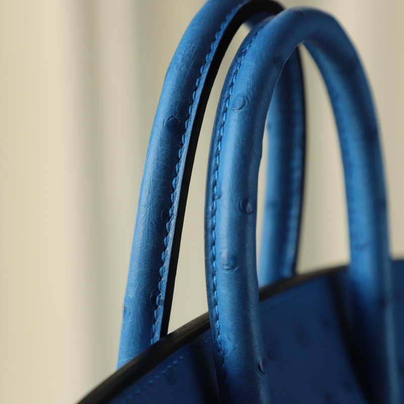7Q Mykonos KK ostrich birkin 25 with phw