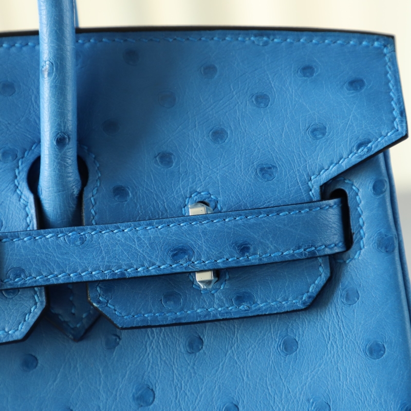 7Q Mykonos KK ostrich birkin 25 with phw