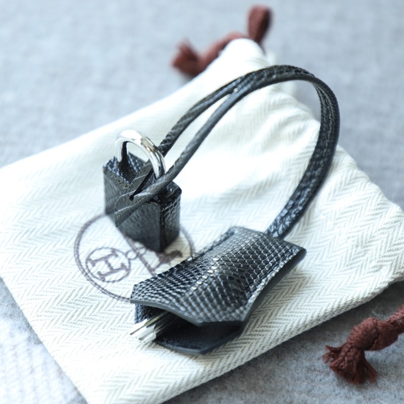 CK89 Nior Lizard Birkin 20 sellier with PHW