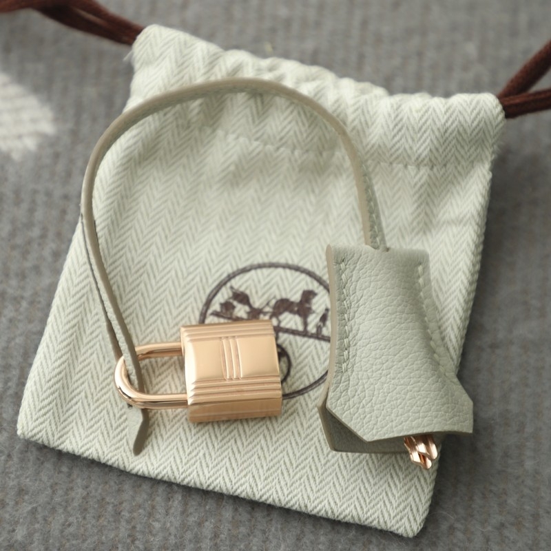 c80 gris pearl EverColor birkin 25 rghw