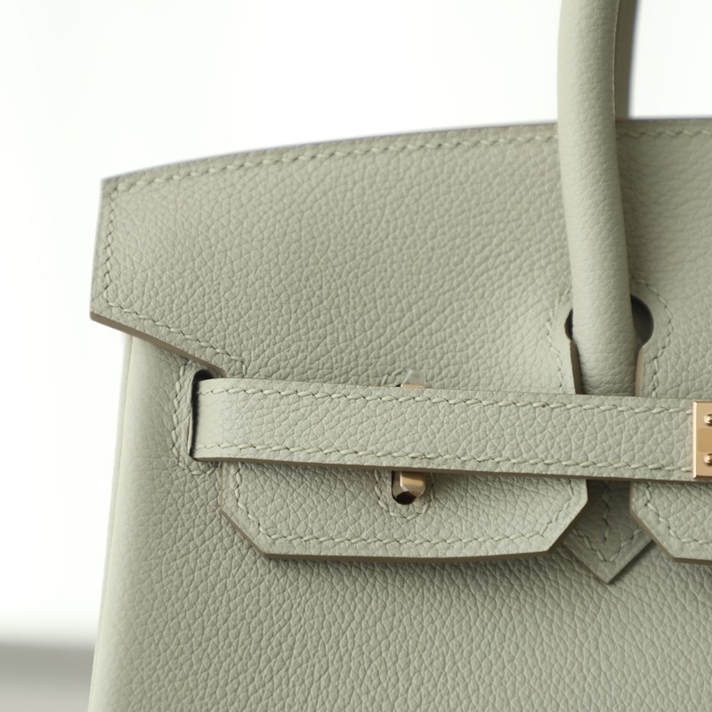 c80 gris pearl EverColor birkin 25 rghw