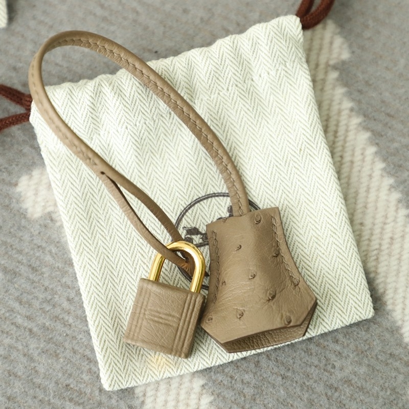 CK18 etoupe ostrich birkin 30 with GHW