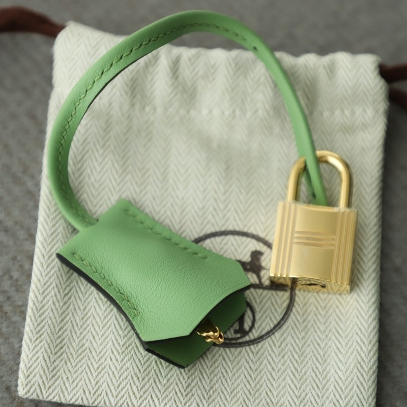 3i vert criquet swift birkin 25 with GHW