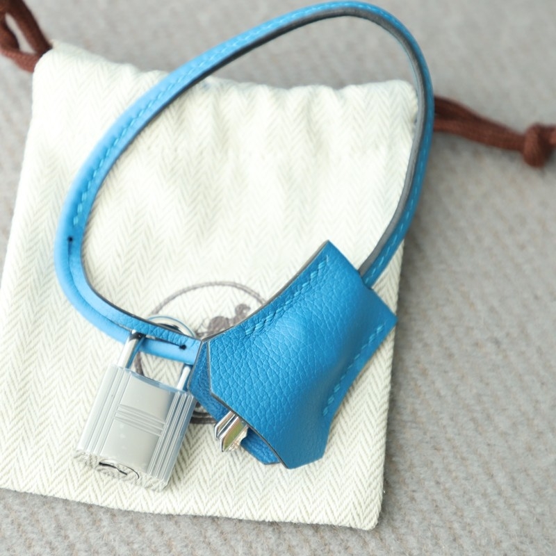 T7 BIue Hydra evercolor Birkin 35 with phw