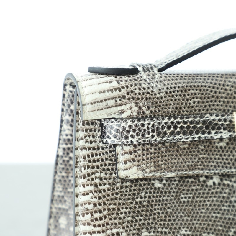 1B Ombre lizard kelly pochette with ghw