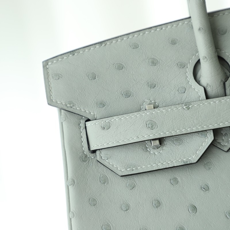8U BIue GIacier Ostrich Birkin30 With Phw