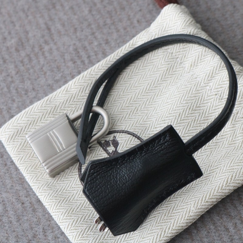 CK89 Nior cherve retourne Birkin25 with Brushed PHW 