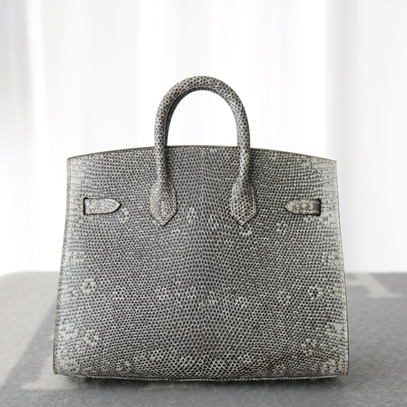 1B Ombre Lizard Birkin 20 Sellier With PHW