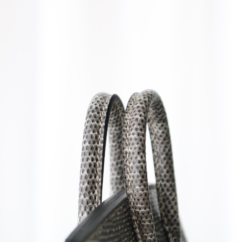 1B Ombre Lizard Birkin 20 Sellier With PHW