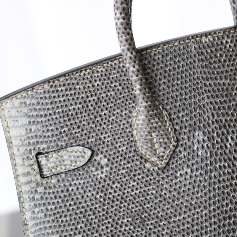 1B Ombre Lizard Birkin 20 Sellier With PHW
