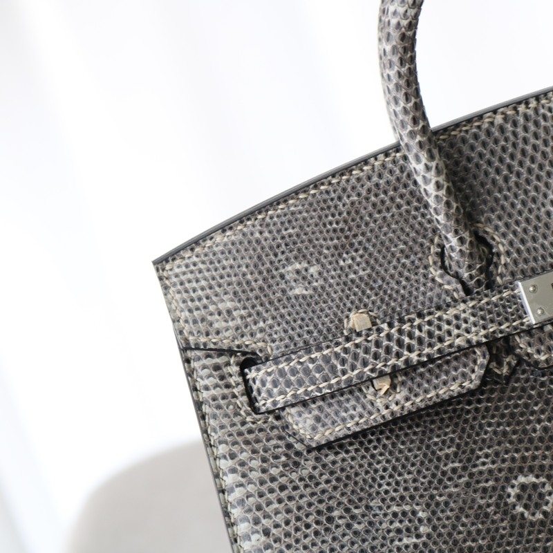 1B Ombre Lizard Birkin 20 Sellier With PHW