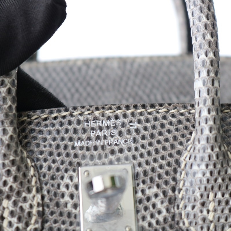 1B Ombre Lizard Birkin 20 Sellier With PHW