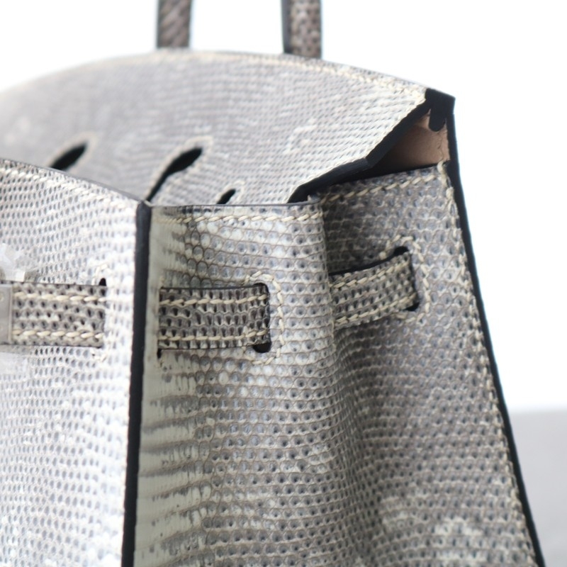 1B Ombre Lizard Birkin 20 Sellier With PHW