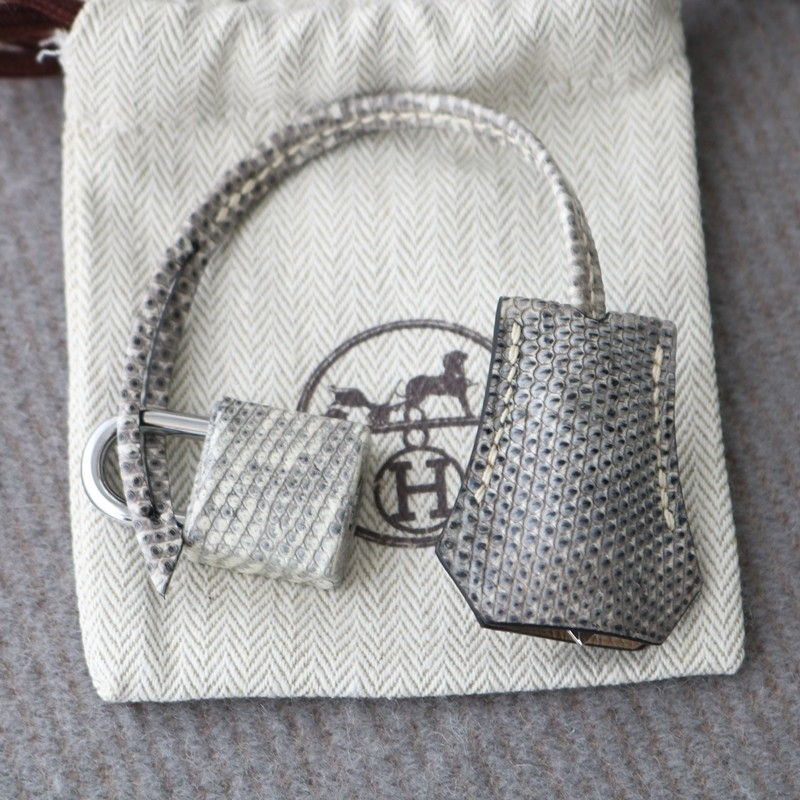 1B Ombre Lizard Birkin 20 Sellier With PHW