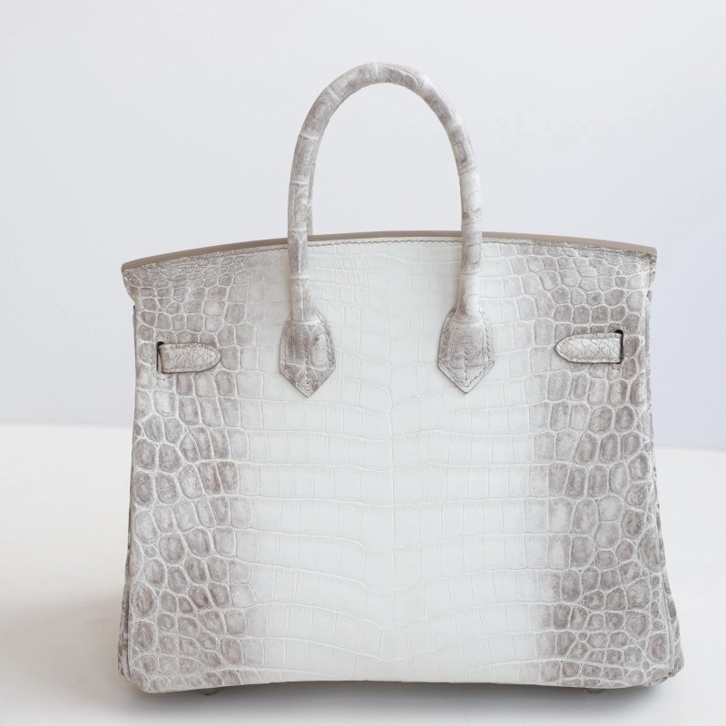 8D HimaIaya Gray Crocodile birkin 25cm with phw