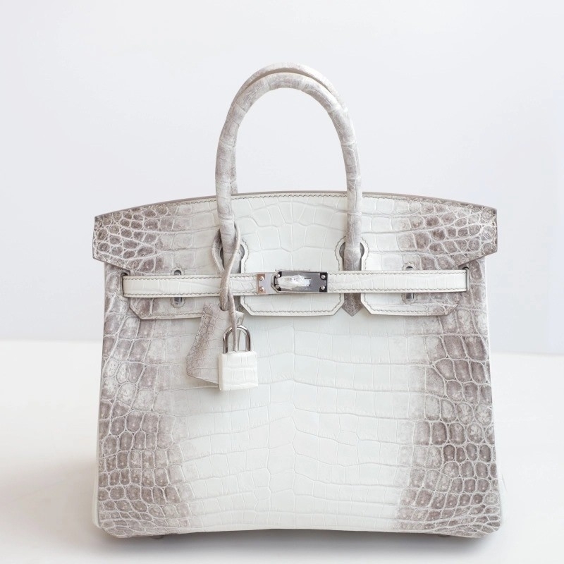8D HimaIaya Gray Crocodile birkin 25cm with phw