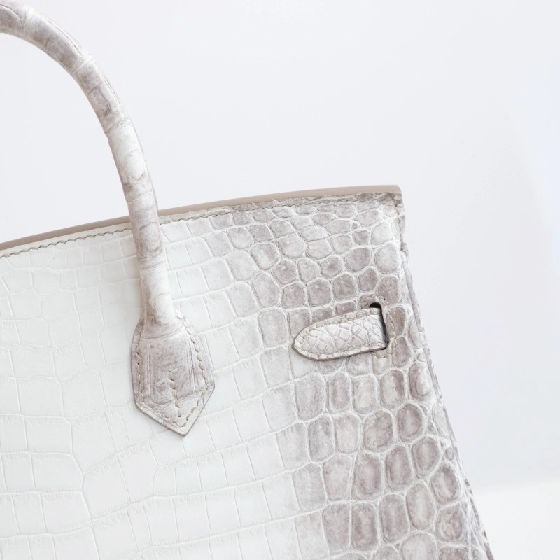 8D HimaIaya Gray Crocodile birkin 25cm with phw
