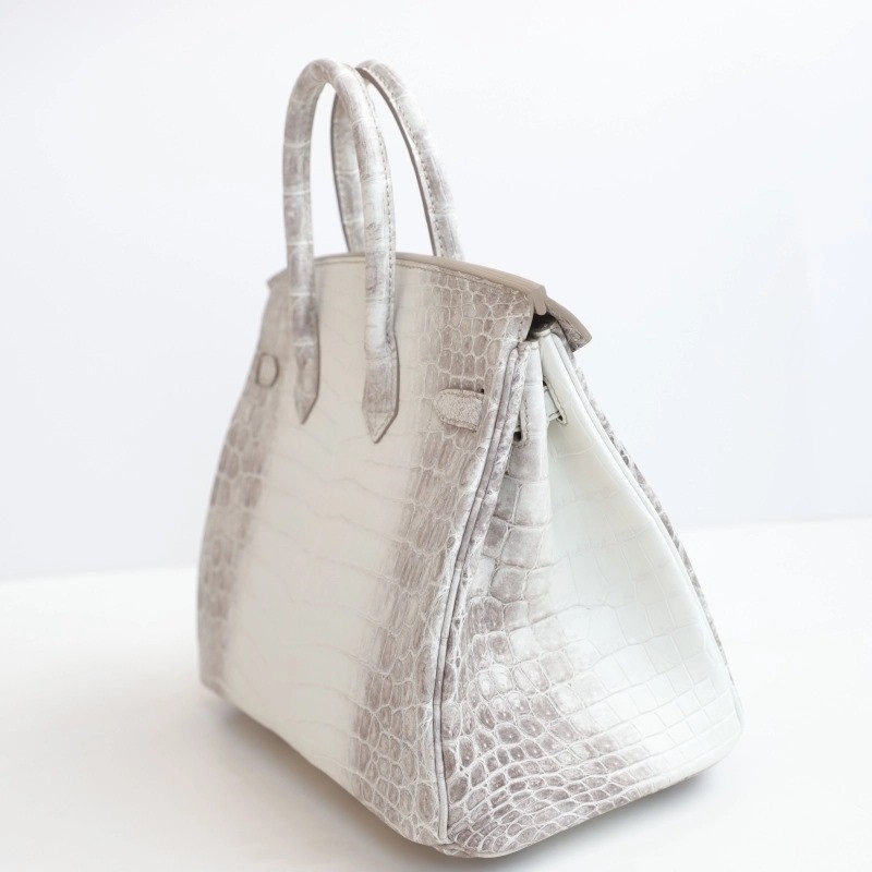 8D HimaIaya Gray Crocodile birkin 25cm with phw