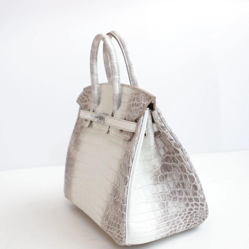 8D HimaIaya Gray Crocodile birkin 25cm with phw