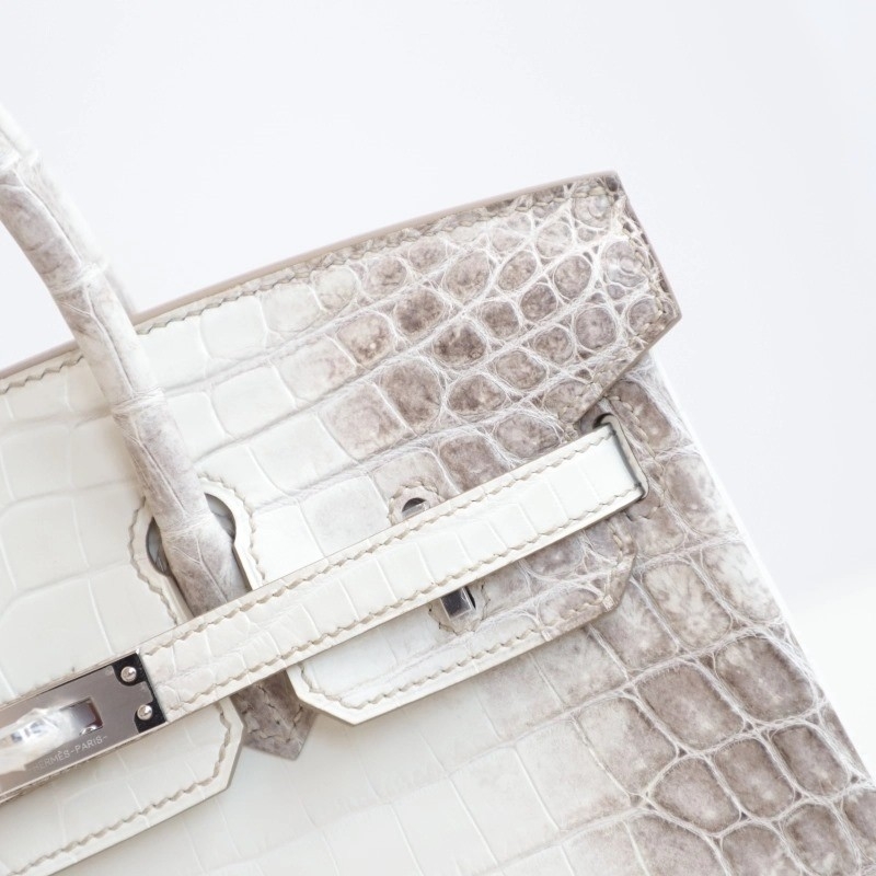 8D HimaIaya Gray Crocodile birkin 25cm with phw