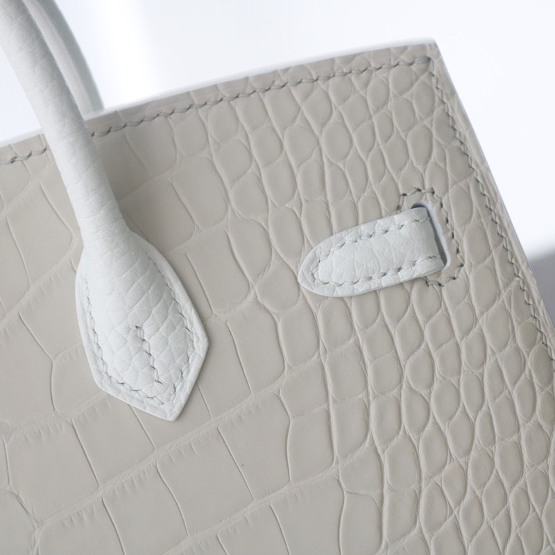 Hermès Sac Faubourg Birkin 20 White Matte Alligator Palladium Hardware