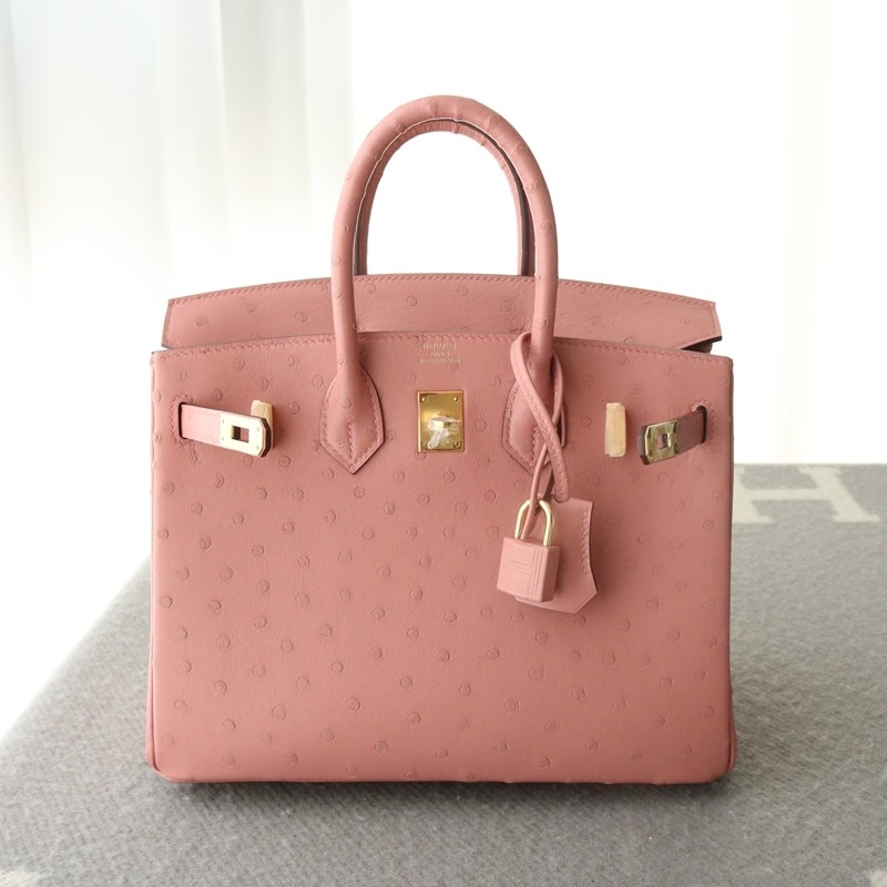Terre Cuite ostrich birkin 25 with ghw