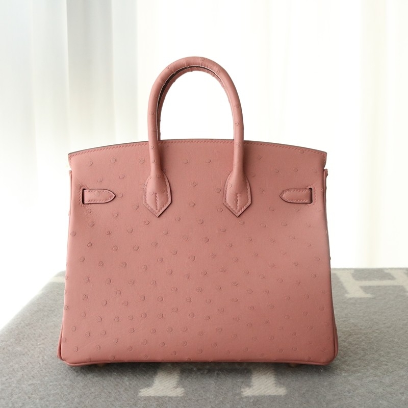 Terre Cuite ostrich birkin 25 with ghw
