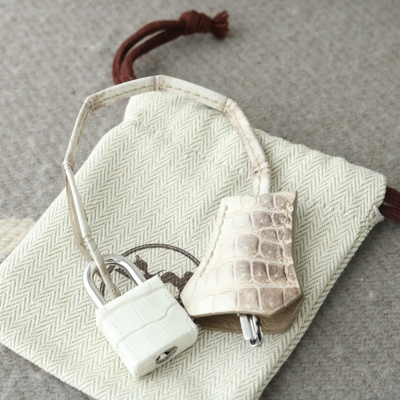 8D Himalaya Gray Crocodile birkin 25 with phw