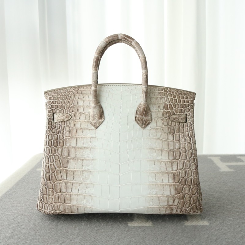 8D Himalaya Gray Crocodile birkin 25 with phw