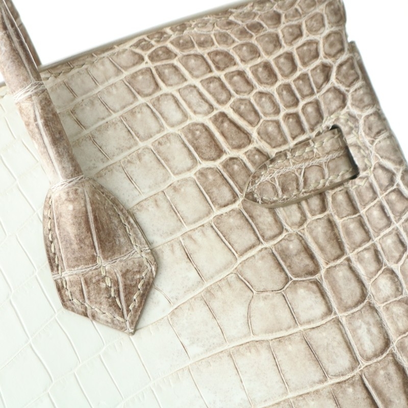 8D Himalaya Gray Crocodile birkin 25 with phw
