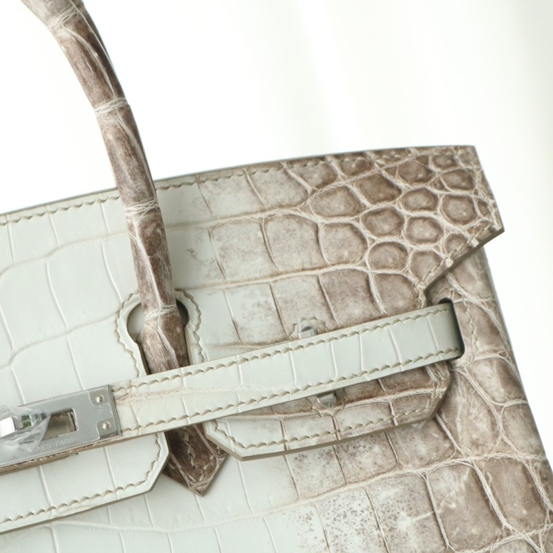 8D Himalaya Gray Crocodile birkin 25 with phw