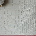 BIRKIN 25 BETON MATTE ALLIGATOR GHW