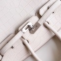 BIRKIN 25 BETON MATTE ALLIGATOR PHW