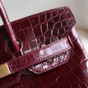BIRKIN 25 BORDEAUX SHINY NILOTICUS GHW