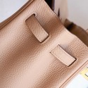 BIRKIN 25 CHAI TOGO GHW