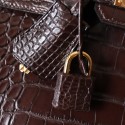 BIRKIN 25 EBENE MATTE ALLIGATOR GHW