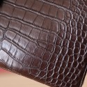 BIRKIN 25 EBENE MATTE ALLIGATOR GHW