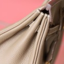 BIRKIN 25 ETOUPE TOGO GHW
