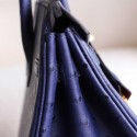 BIRKIN 25 IRIS BLUE OSTRICH INSIDE ROUGH H CHEVRE GHW