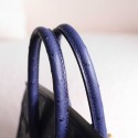 BIRKIN 25 IRIS BLUE OSTRICH INSIDE ROUGH H CHEVRE GHW