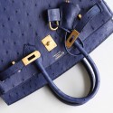 BIRKIN 25 IRIS BLUE OSTRICH INSIDE ROUGH H CHEVRE GHW