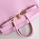 BIRKIN 25 MAUVE SYLVESTRE SWIFT ROSE GOLD HARDWARE