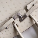 BIRKIN 25 PARCHEMIN OSTRICH GHW
