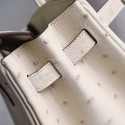 BIRKIN 25 PARCHEMIN OSTRICH GHW