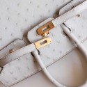 BIRKIN 25 PEARL GREY OSTRICH GHW