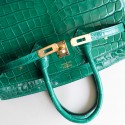 BIRKIN 25 VERT EMERAUDE SHINY NILOTICUS GHW