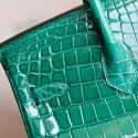 BIRKIN 25 VERT EMERAUDE SHINY NILOTICUS GHW