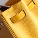 BIRKIN TOUCH 25 AMBRE SHINY NILOTICUS AND TOGO LEATHER PHW
